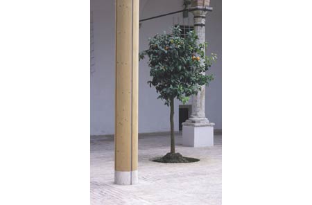 Museo Civico e Diocesano 

Montalcino (SI)

(1997)