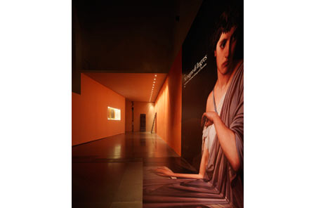 Nel segno di Ingres

Ex Ospedale Santa Maria della Scala - Siena

(2007)